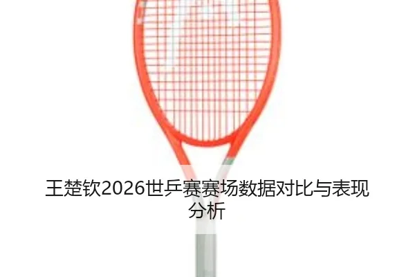 王楚钦2026世乒赛赛场数据对比与表现分析