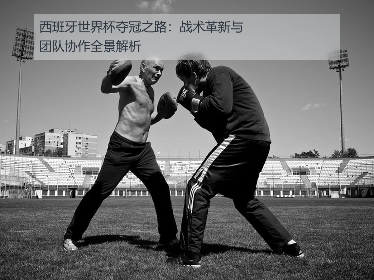 西班牙世界杯夺冠之路：战术革新与团队协作全景解析